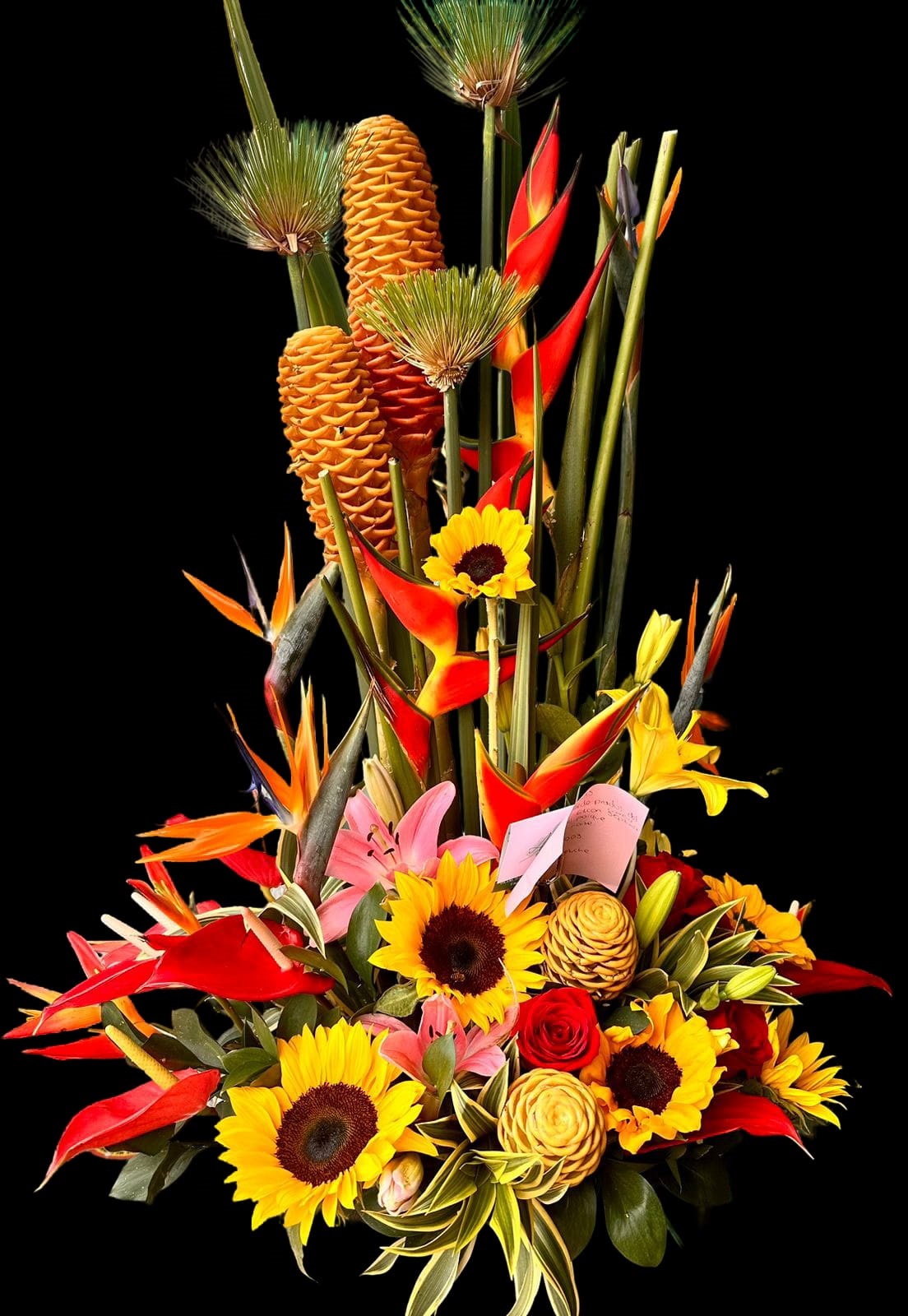 Belleza del paraíso